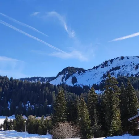 Couleurs Des Alpes Au Pied Des Pistes De Praz De Lys *