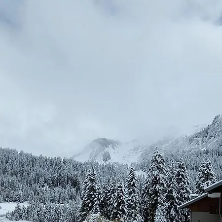 Couleurs Des Alpes Au Pied Des Pistes De Praz De Lys